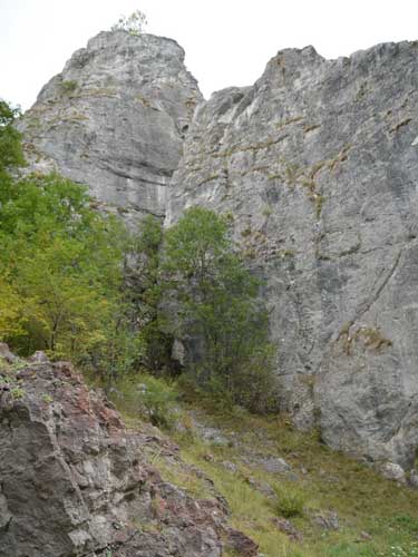 Foto Dambau, zona inferioara (c) Petru Goja